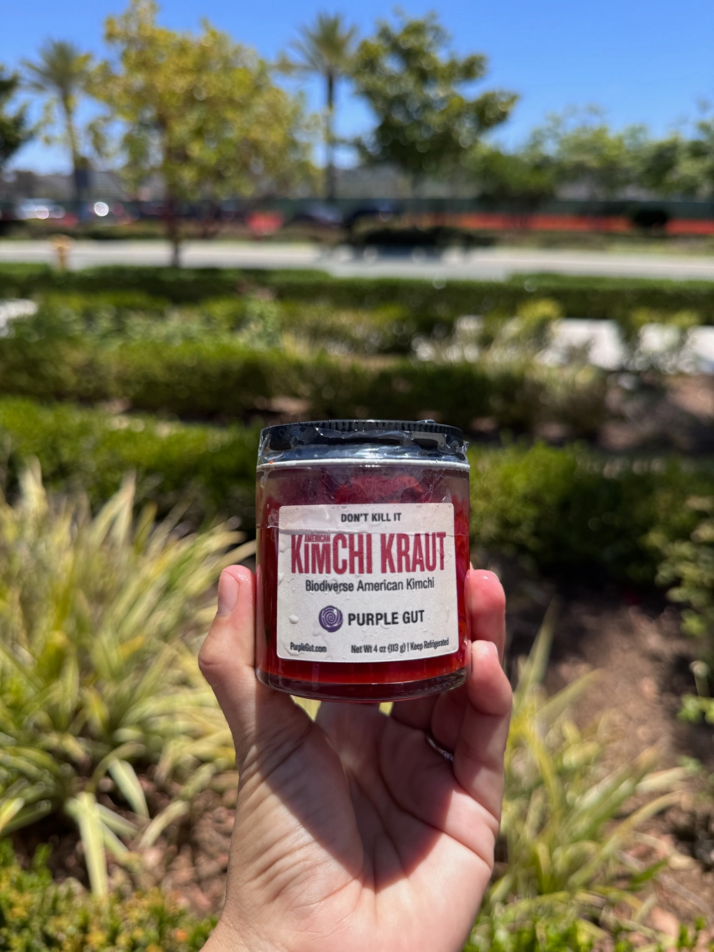 Jar of Purple Gut American Kimchi held up at a San Diego farmers market